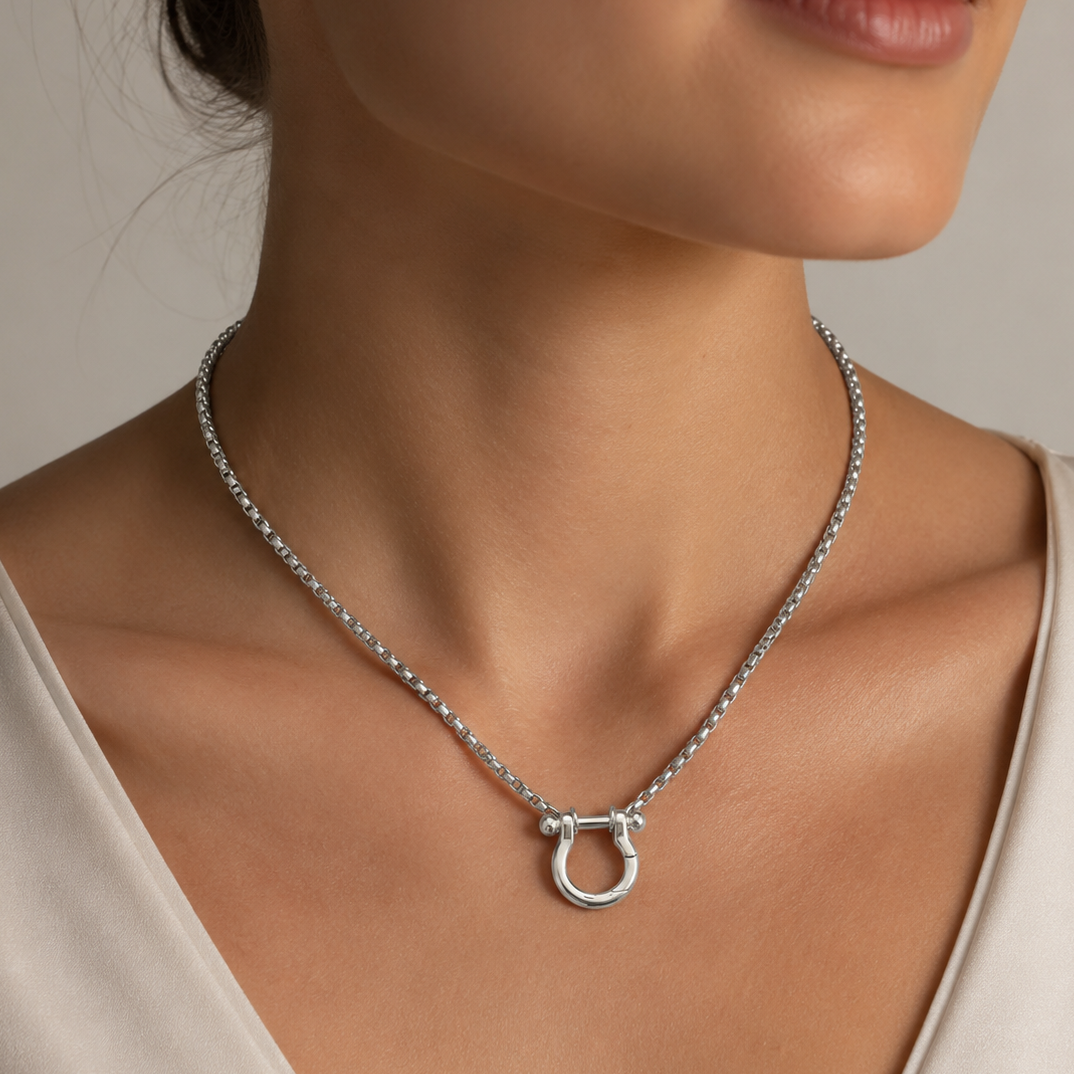 18" + 2" Stainless Steel Horseshoe Carabiner Necklace