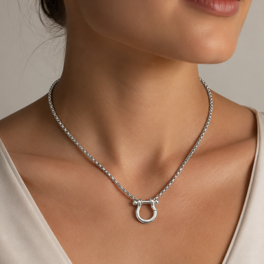 18" + 2" Stainless Steel Horseshoe Carabiner Necklace