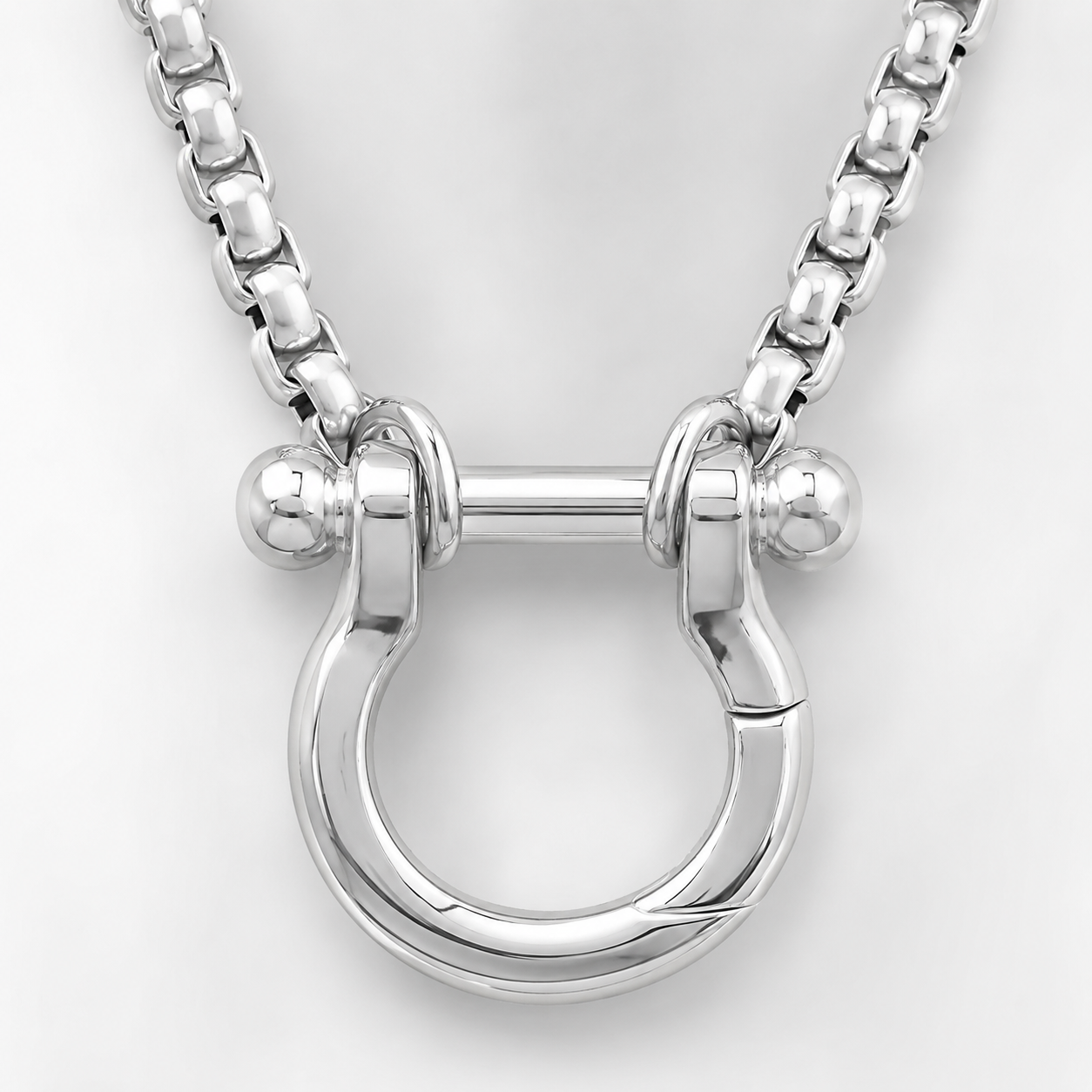 18" + 2" Stainless Steel Horseshoe Carabiner Necklace